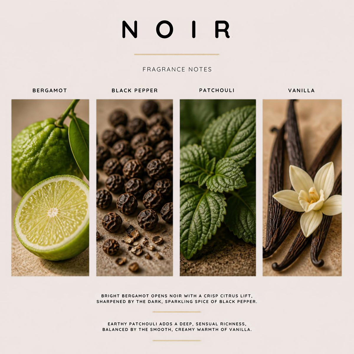 NOIR